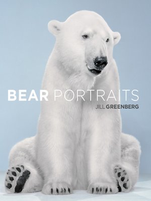 cover image of Bear Portraits